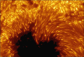 Close-up of a  Sunspot